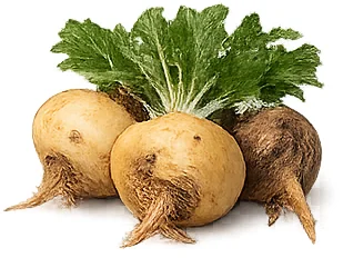 Erovantis — Maca (Lepidium meyenii)